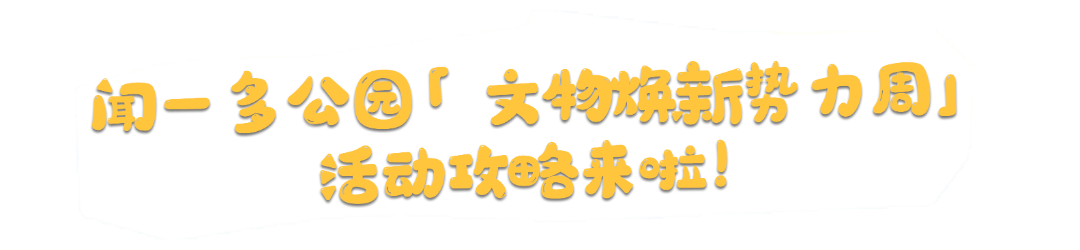 微观盘龙