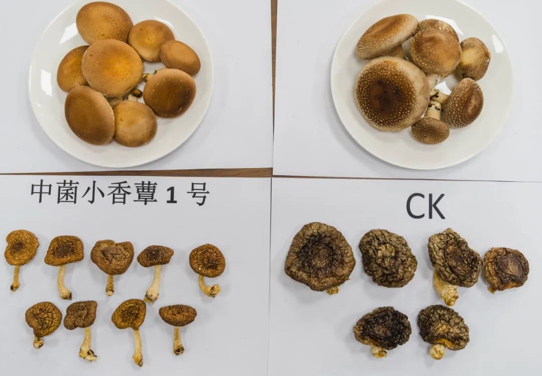 晋宁 诗意的栖居地