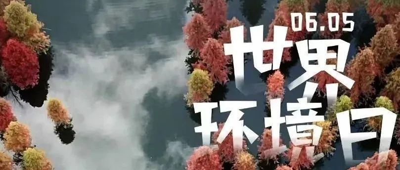微观盘龙