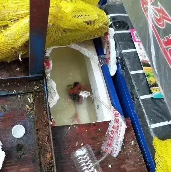 8099999街头巷尾微信