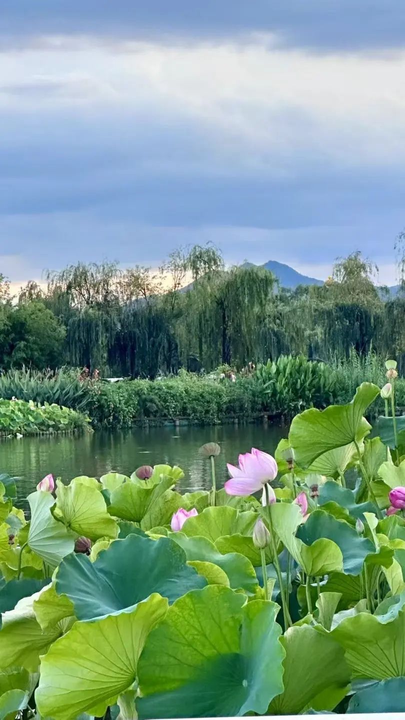 昆明西山发布