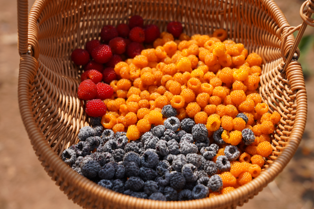 昆明阳宗海风景名胜区