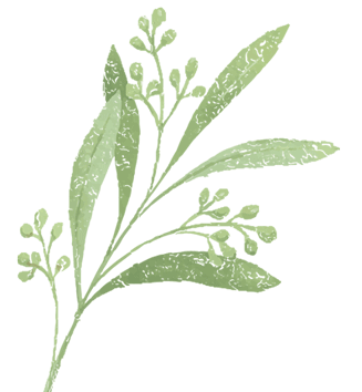 云南省中医医院