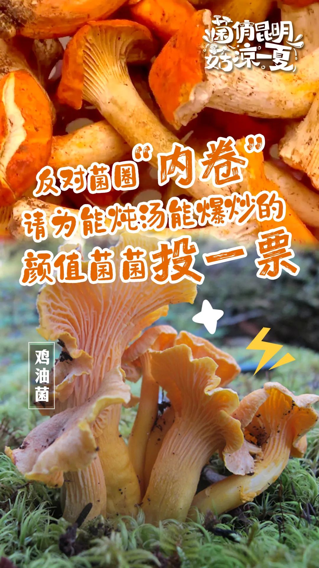 昆明文旅