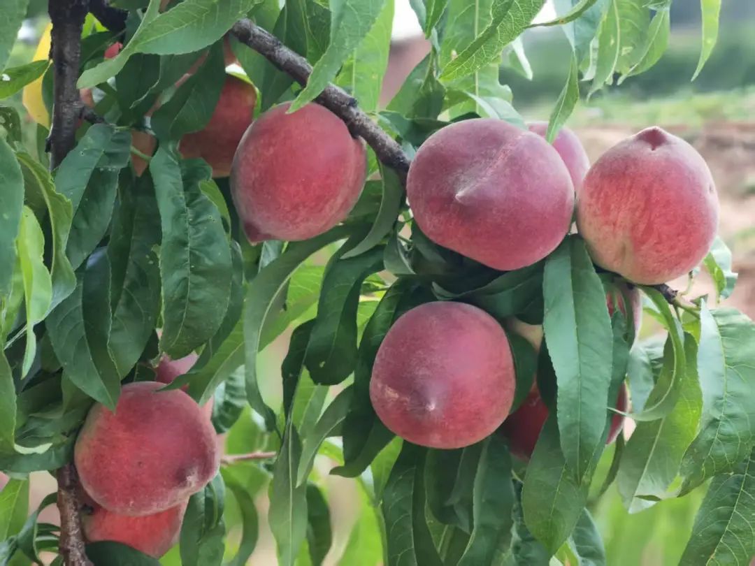 晋宁 诗意的栖居地