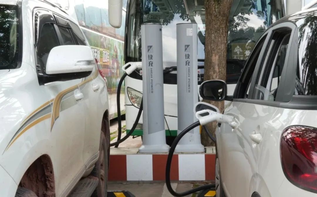 西双版纳望天树景区