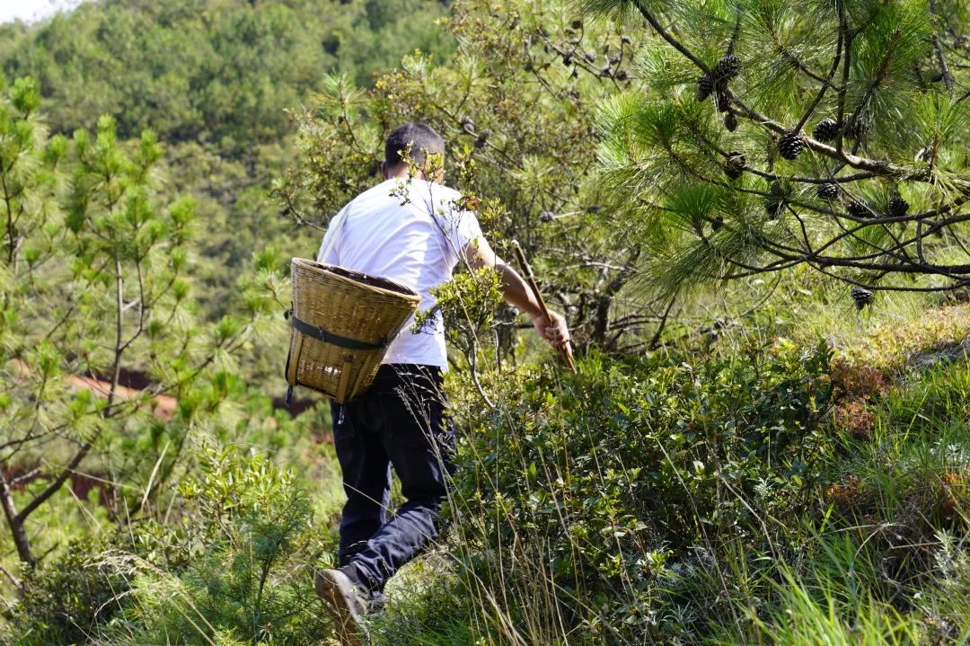 晋宁 诗意的栖居地