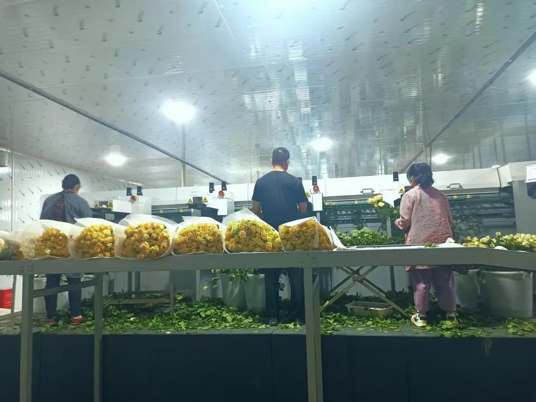 晋宁 诗意的栖居地