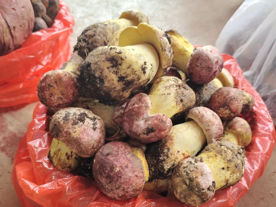 晋宁 诗意的栖居地