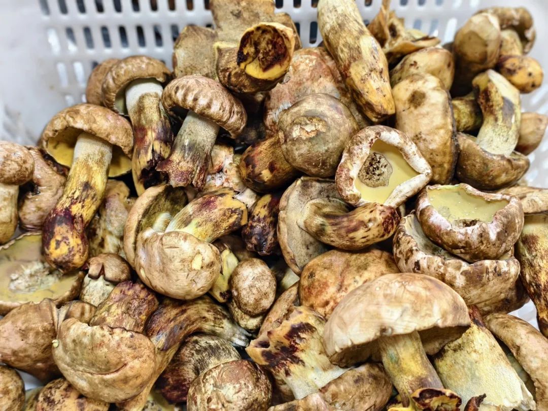 晋宁 诗意的栖居地