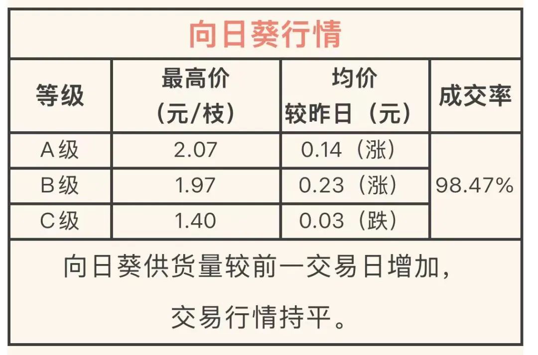 呈贡发布