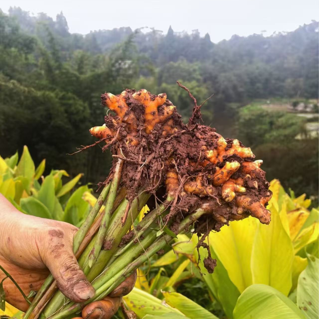 昆明市中医医院