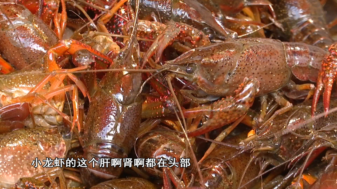 8099999街头巷尾微信