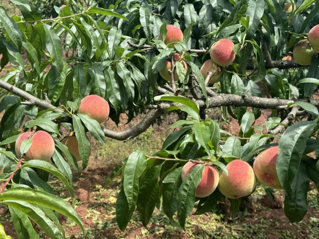晋宁 诗意的栖居地