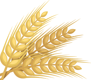 云南省第三人民医院