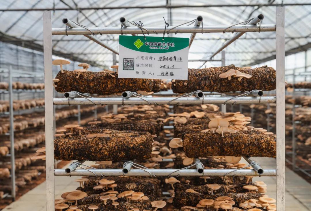 晋宁 诗意的栖居地