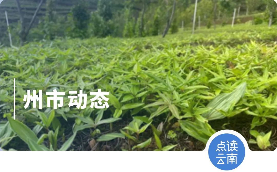 云南省人民政府