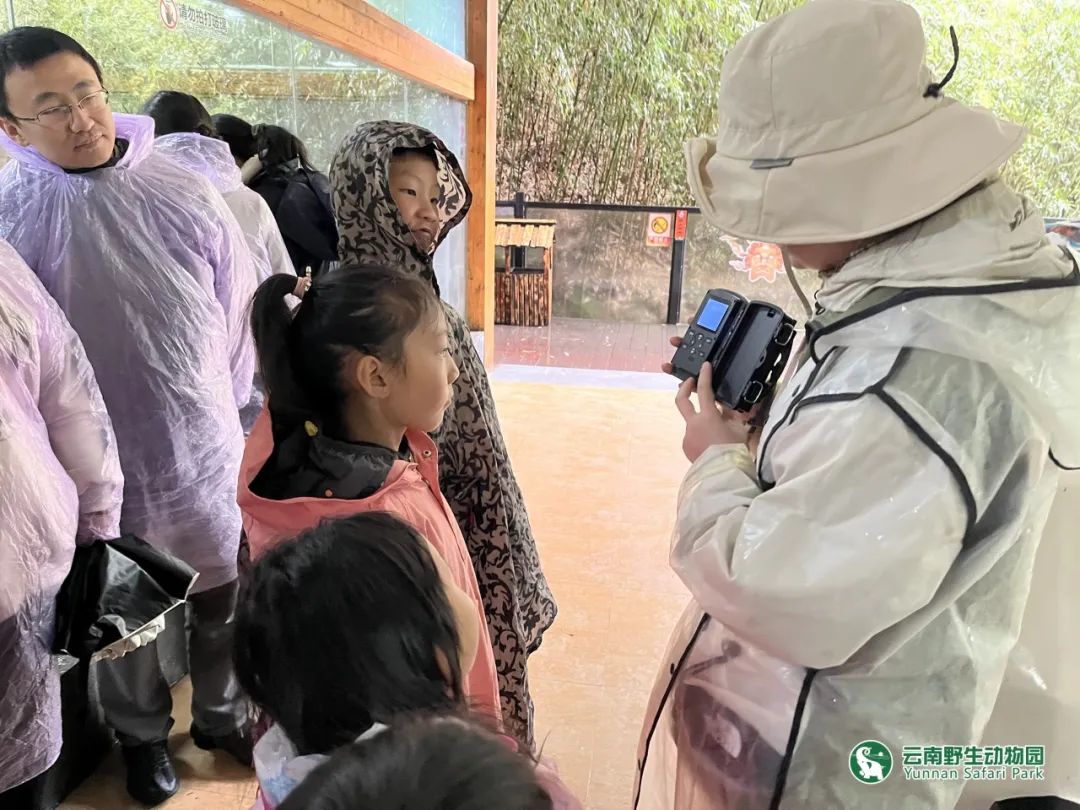 云南野生动物园