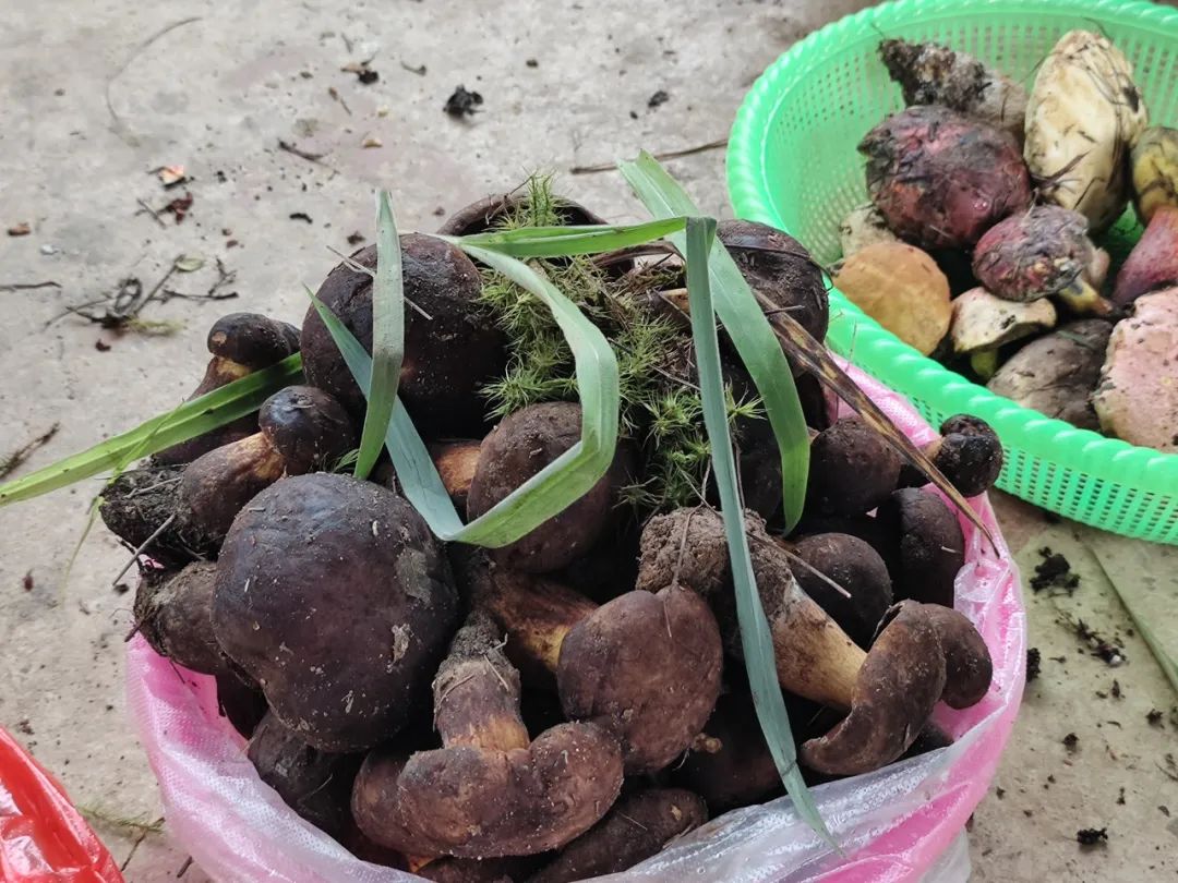 晋宁 诗意的栖居地