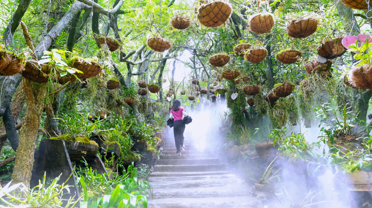 昆明阳宗海风景名胜区
