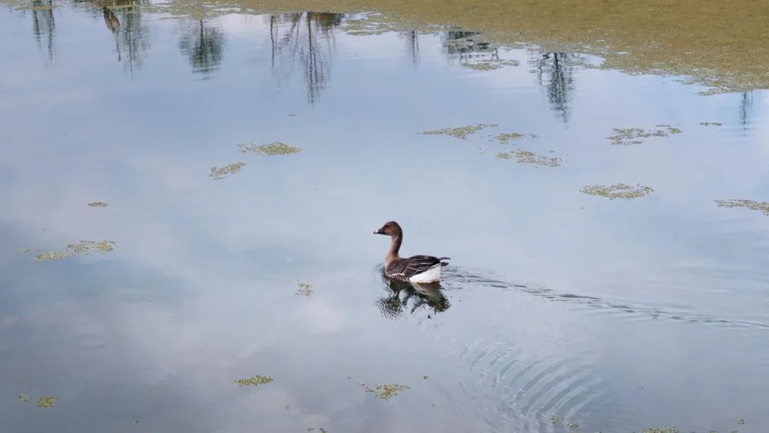 晋宁 诗意的栖居地