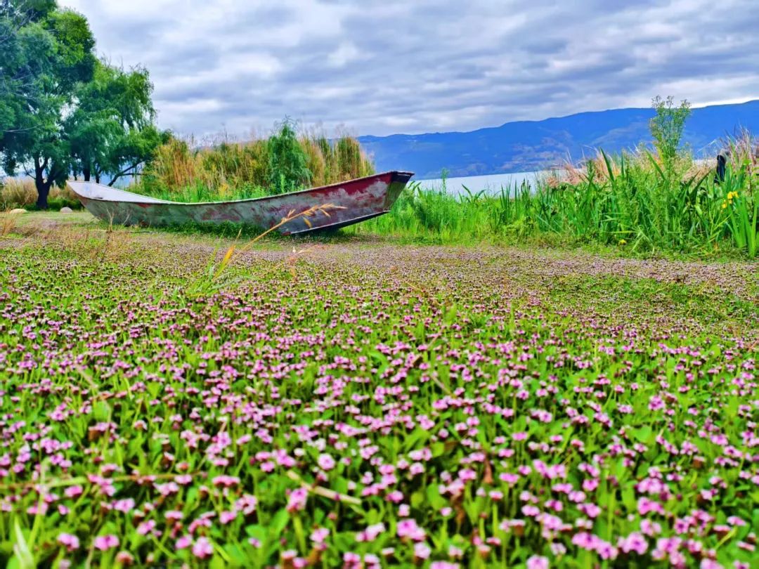 昆明阳宗海风景名胜区