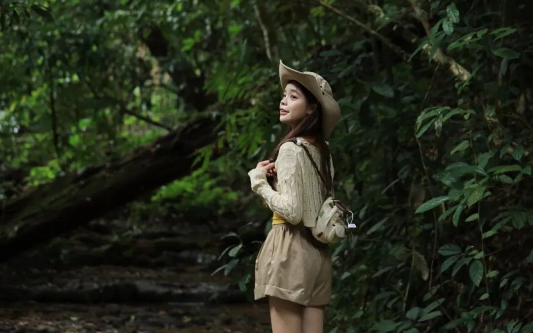 西双版纳望天树景区