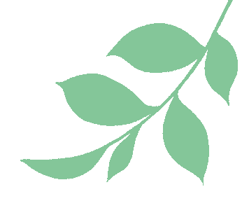 云南省中医医院