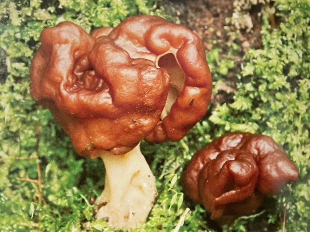 云南省第三人民医院