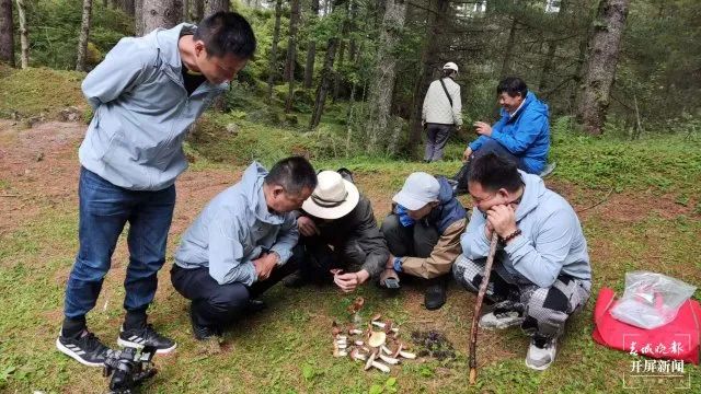 美丽云南微科普