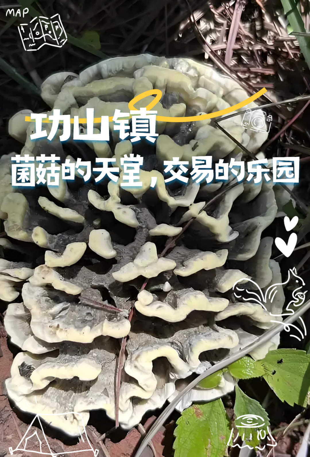 昆明文旅