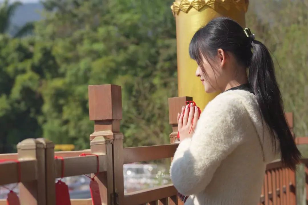 西双版纳望天树景区