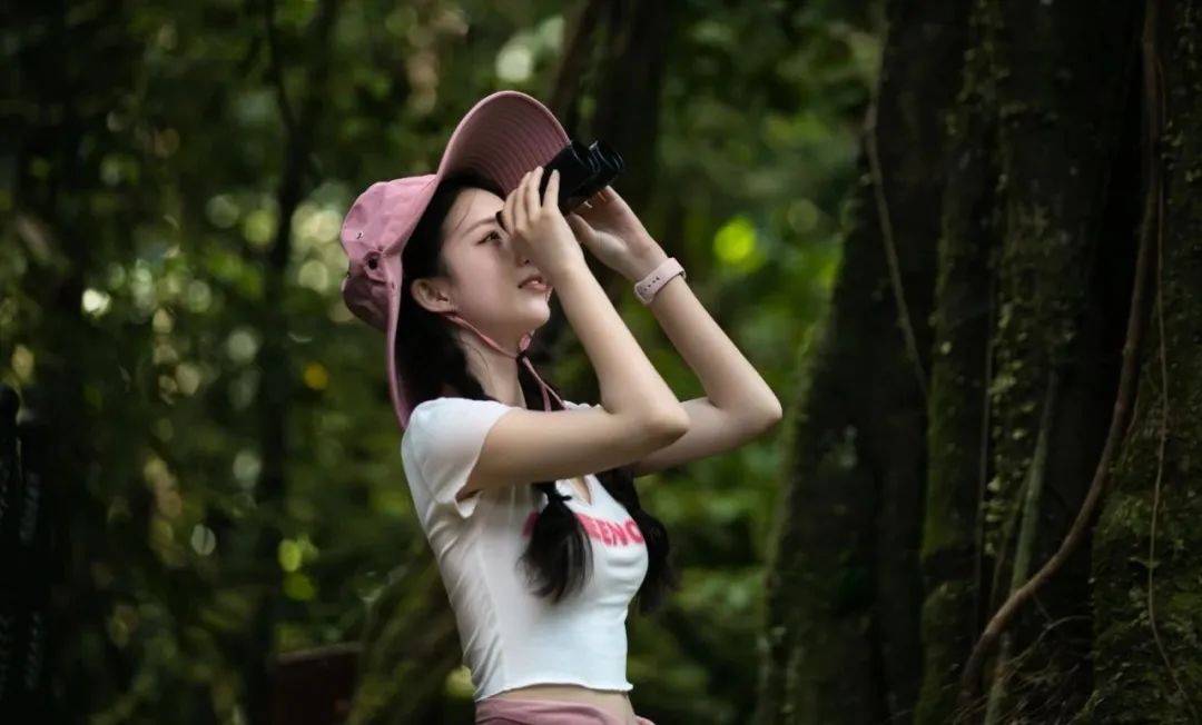 西双版纳望天树景区