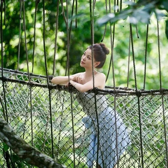 西双版纳望天树景区