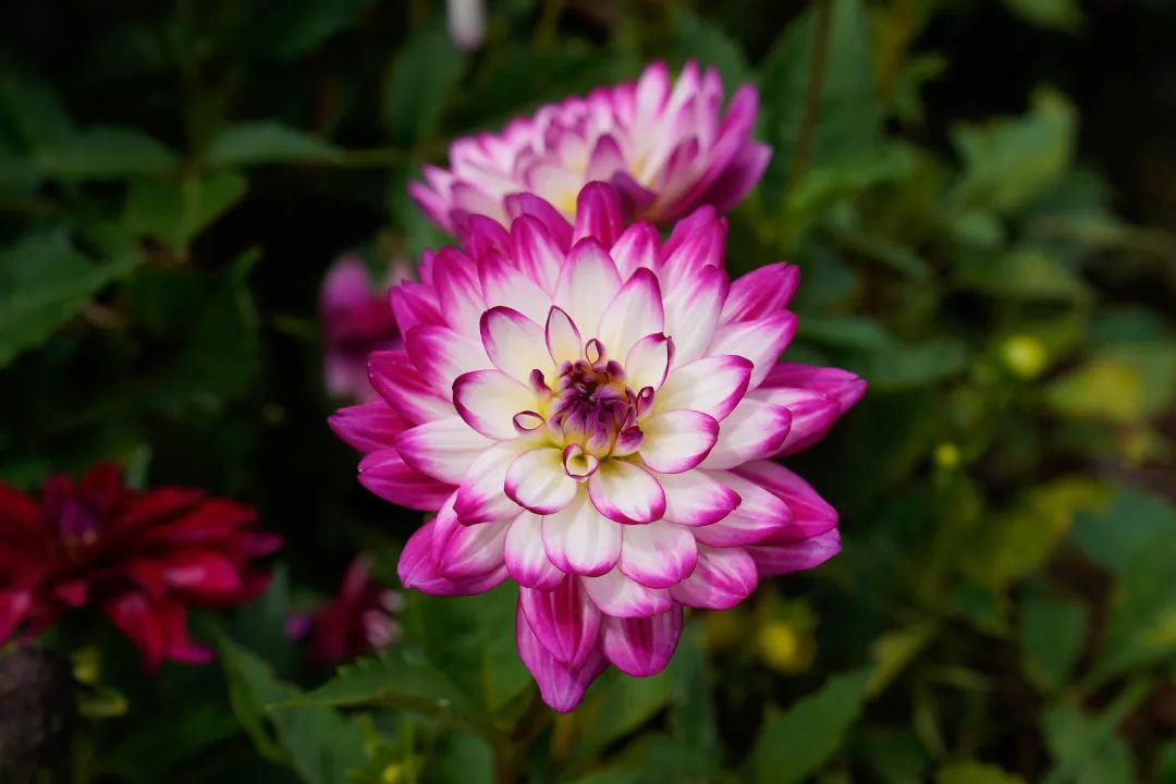 晋宁 诗意的栖居地