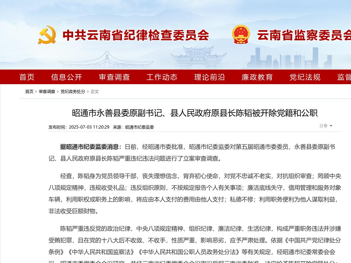 昭通市永善县委原副书记、县人民政府原县长陈韬被开除党籍和公职