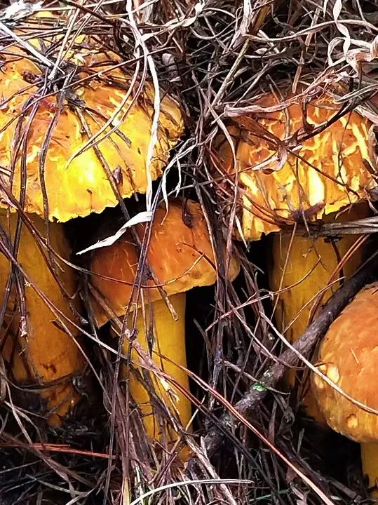 晋宁 诗意的栖居地