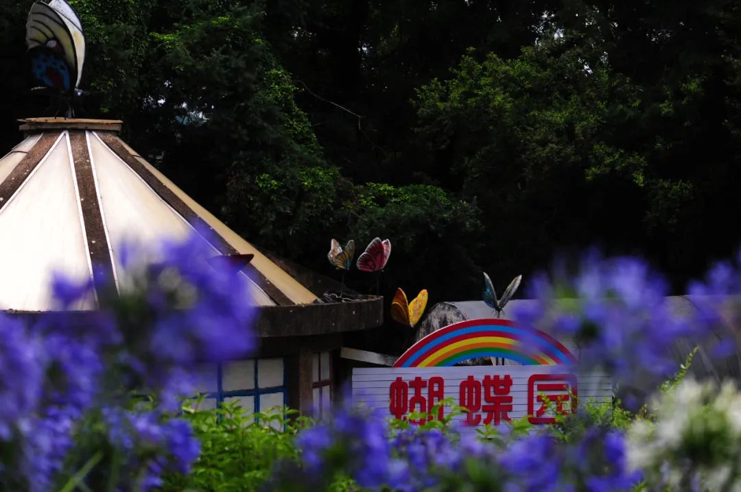 昆明市金殿名胜区