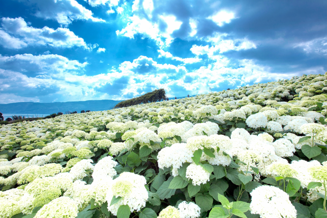 昆明阳宗海风景名胜区
