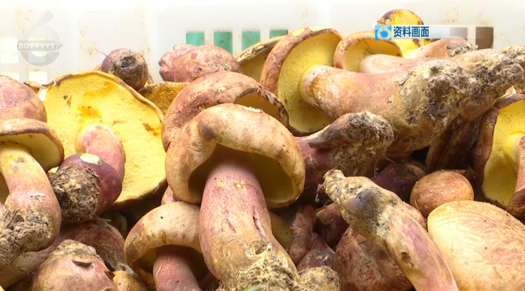 8099999街头巷尾微信