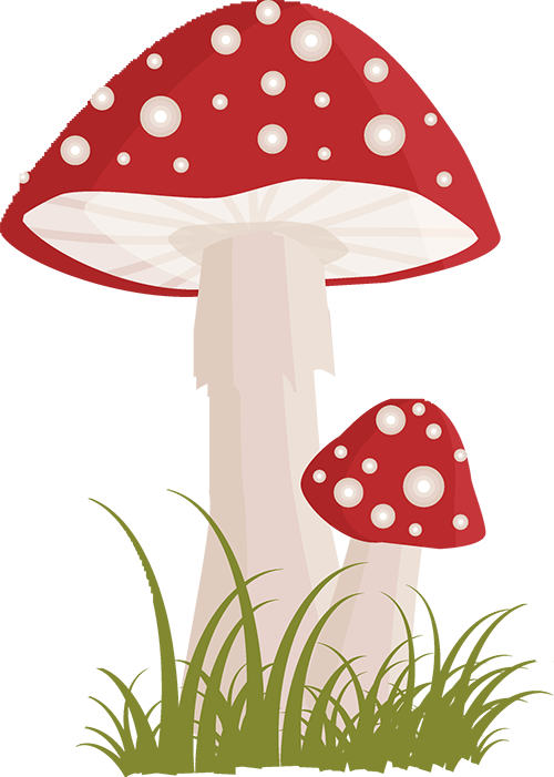 云南省第三人民医院