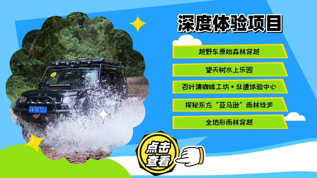 西双版纳望天树景区