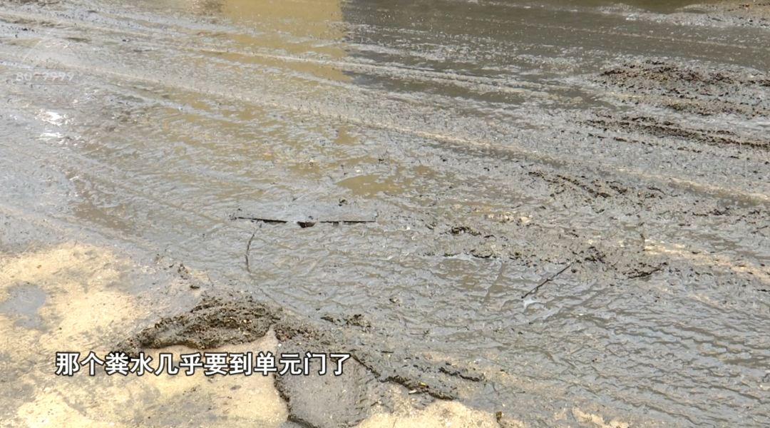 8099999街头巷尾微信