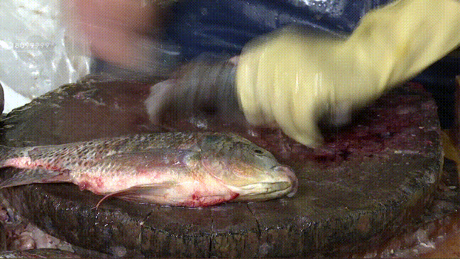 8099999街头巷尾微信