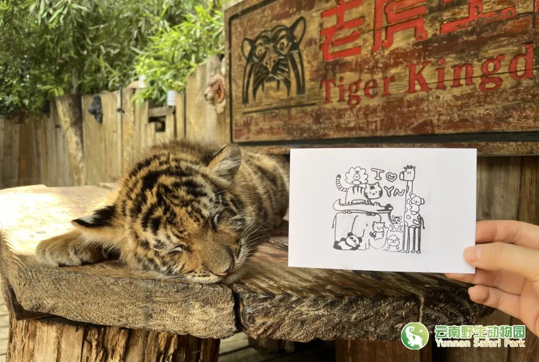 云南野生动物园