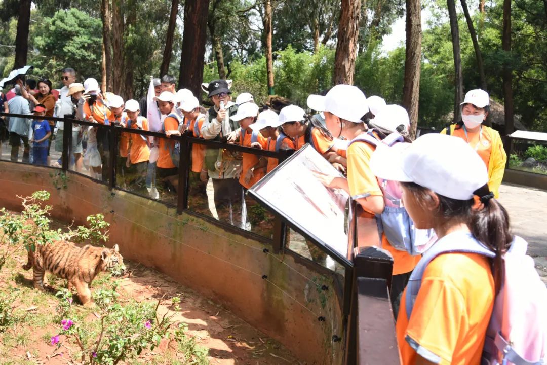 云南省人民检察院