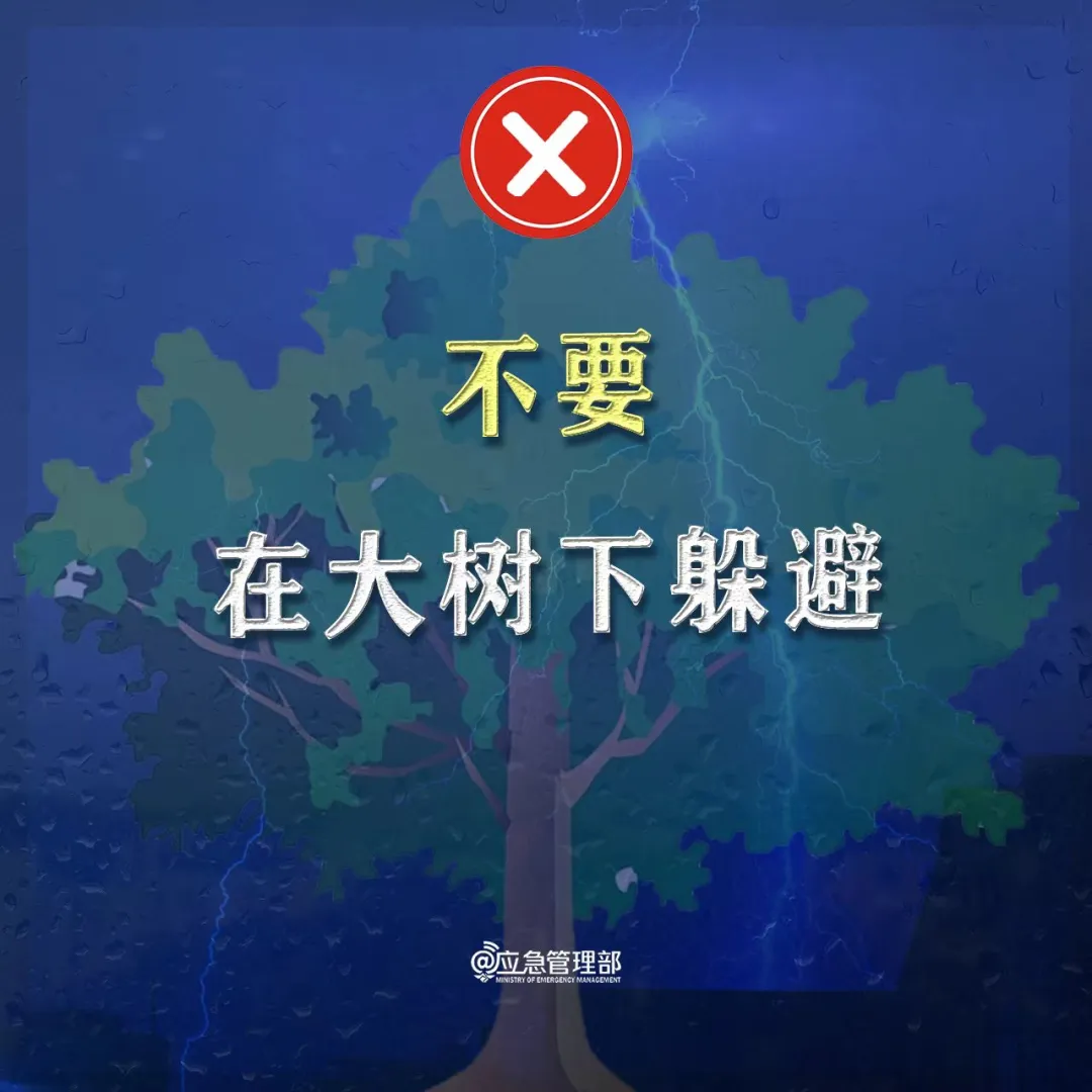 保山新闻网