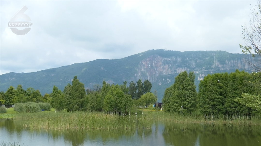 8099999街头巷尾微信