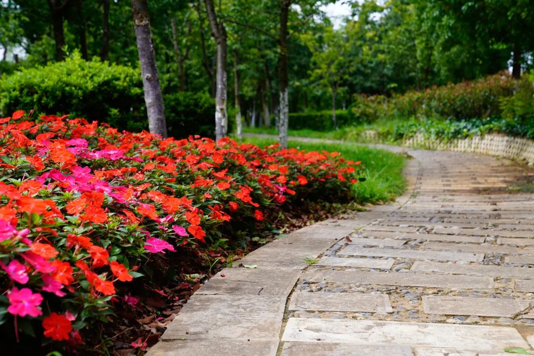 晋宁 诗意的栖居地