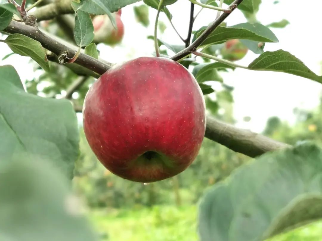 晋宁 诗意的栖居地